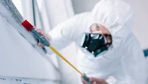 Best Pest Exclusion Services  in Belle Plaine, KS